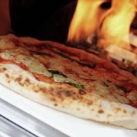 Woody Gas Pizza Oven